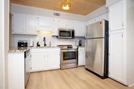 BestLyfe_The-Jungle_019