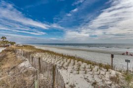 BestLyfe_The-Jungle_048